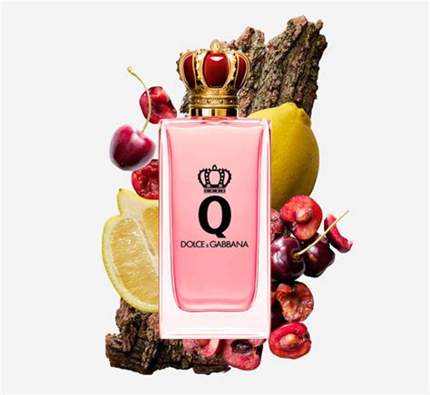 q by dolce gabbana perfume